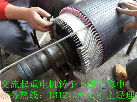 北京鑫山伟业机电技术有限公司交流起重电机维修，交流电机专业维修，进口交流电机维修。